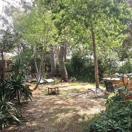 Villa A 50 M De La Mer, Acces En Face De La Maison